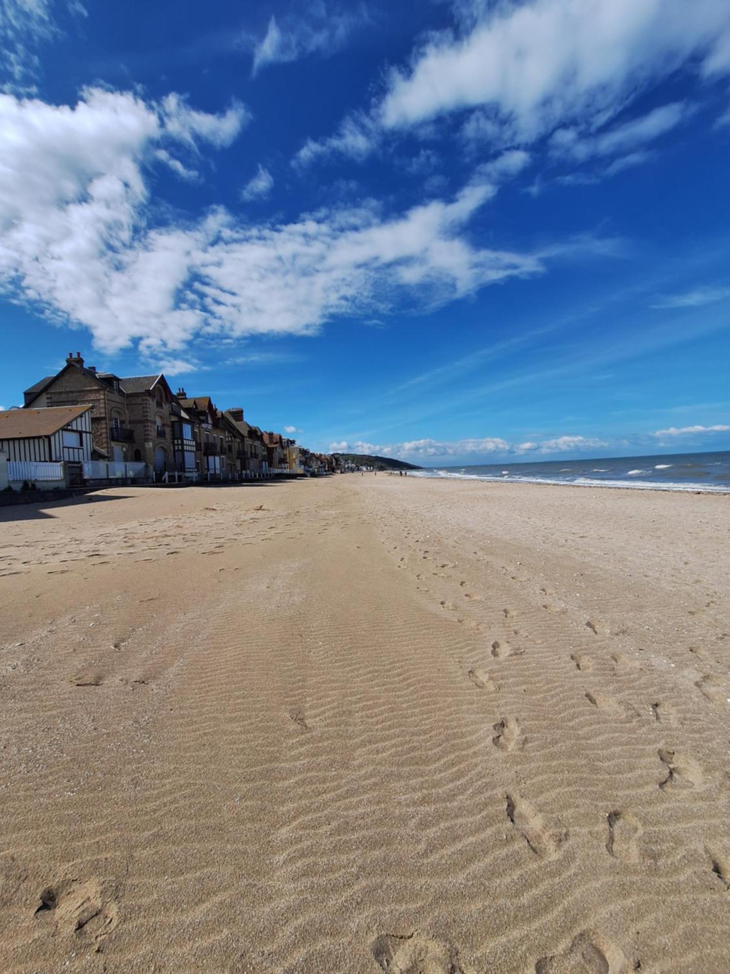 Super Deauville Appartement 2 Pieces Cosy Proche Plage Plein Sud Villers-sur-Mer Eksteriør billede
