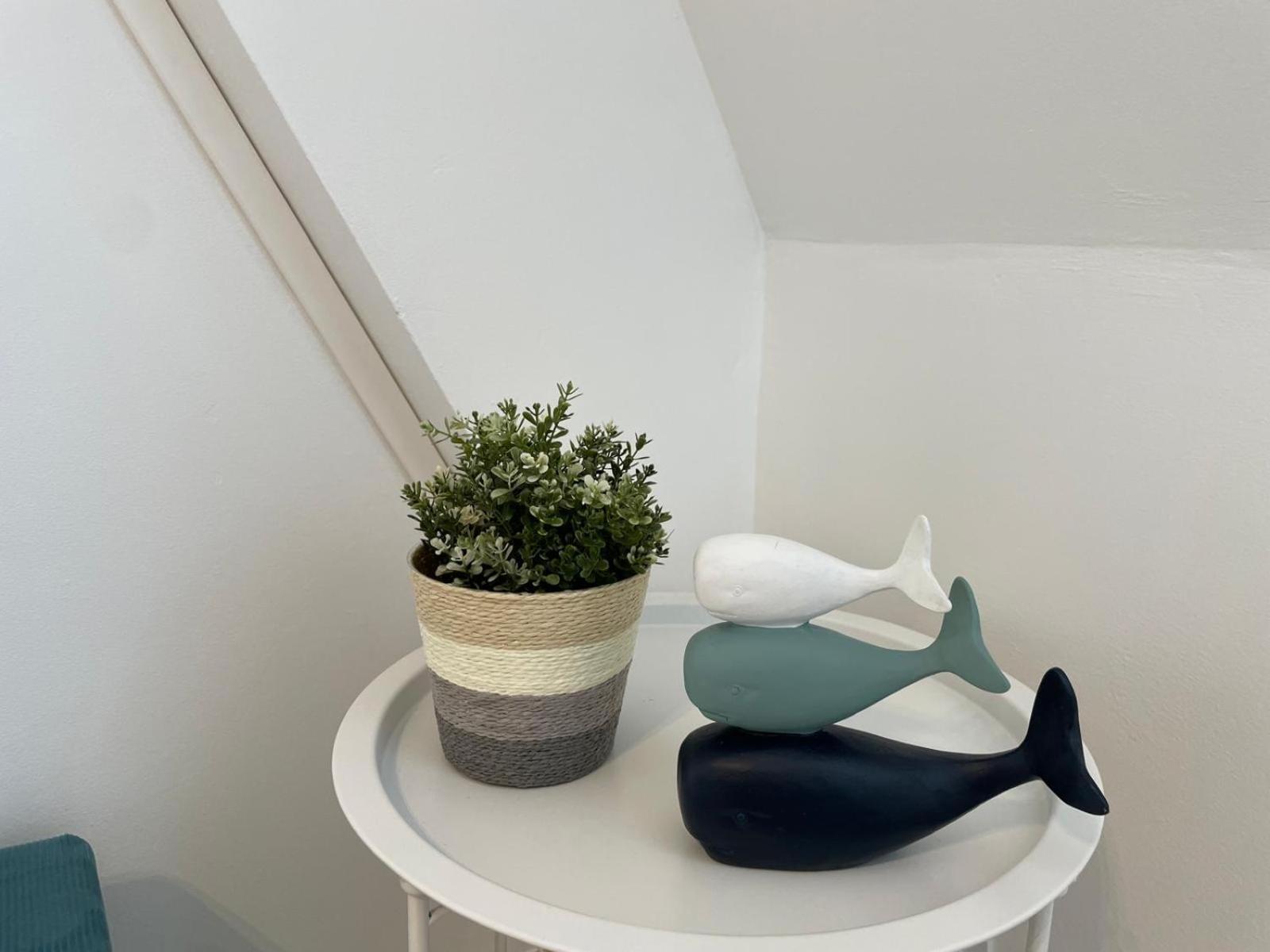 Super Deauville Appartement 2 Pieces Cosy Proche Plage Plein Sud Villers-sur-Mer Eksteriør billede
