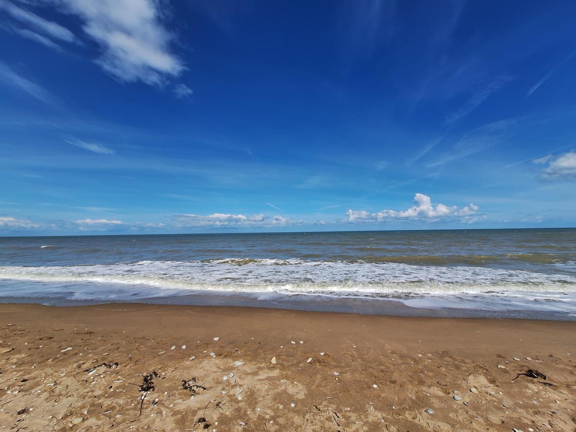 Super Deauville Appartement 2 Pieces Cosy Proche Plage Plein Sud Villers-sur-Mer Eksteriør billede
